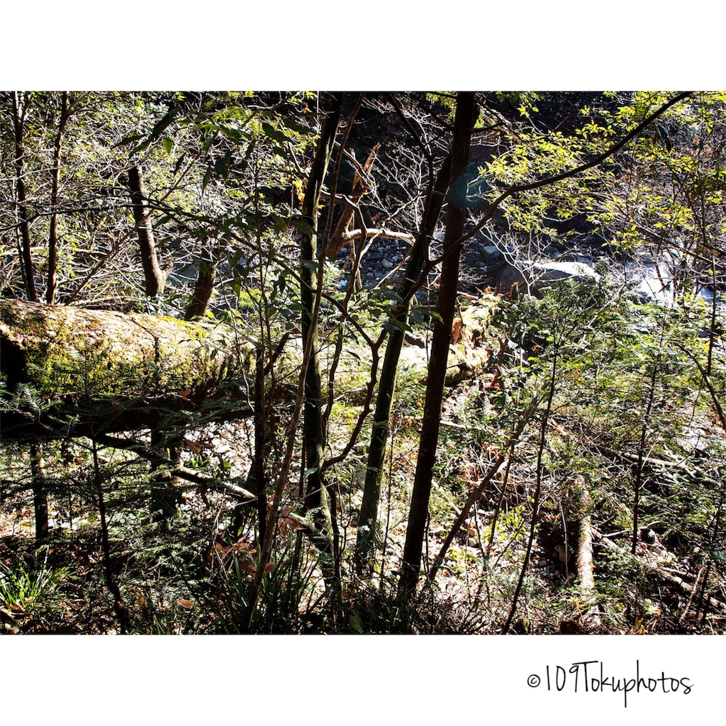 f:id:Toku109:20171202092355j:image