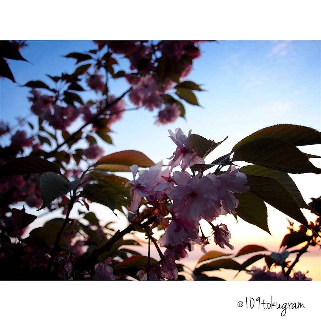 f:id:Toku109:20180416215950j:image