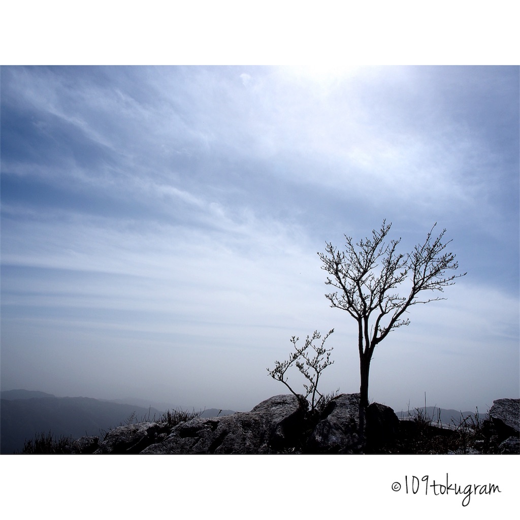 f:id:Toku109:20180430093250j:image