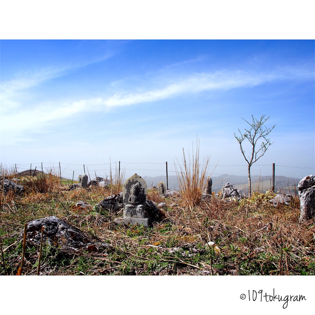 f:id:Toku109:20180430094502j:image