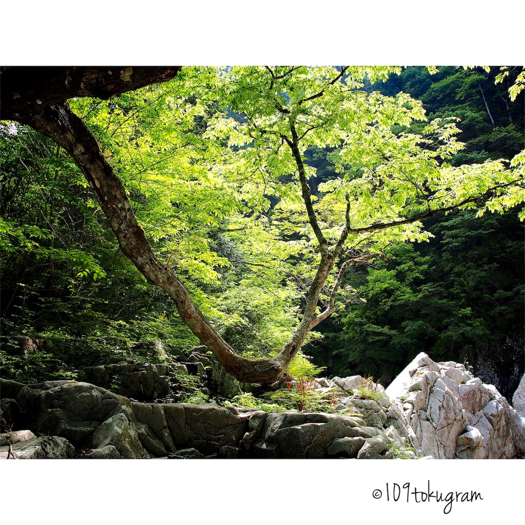 f:id:Toku109:20180526191335j:image f:id:Toku109:20180526191335j:image