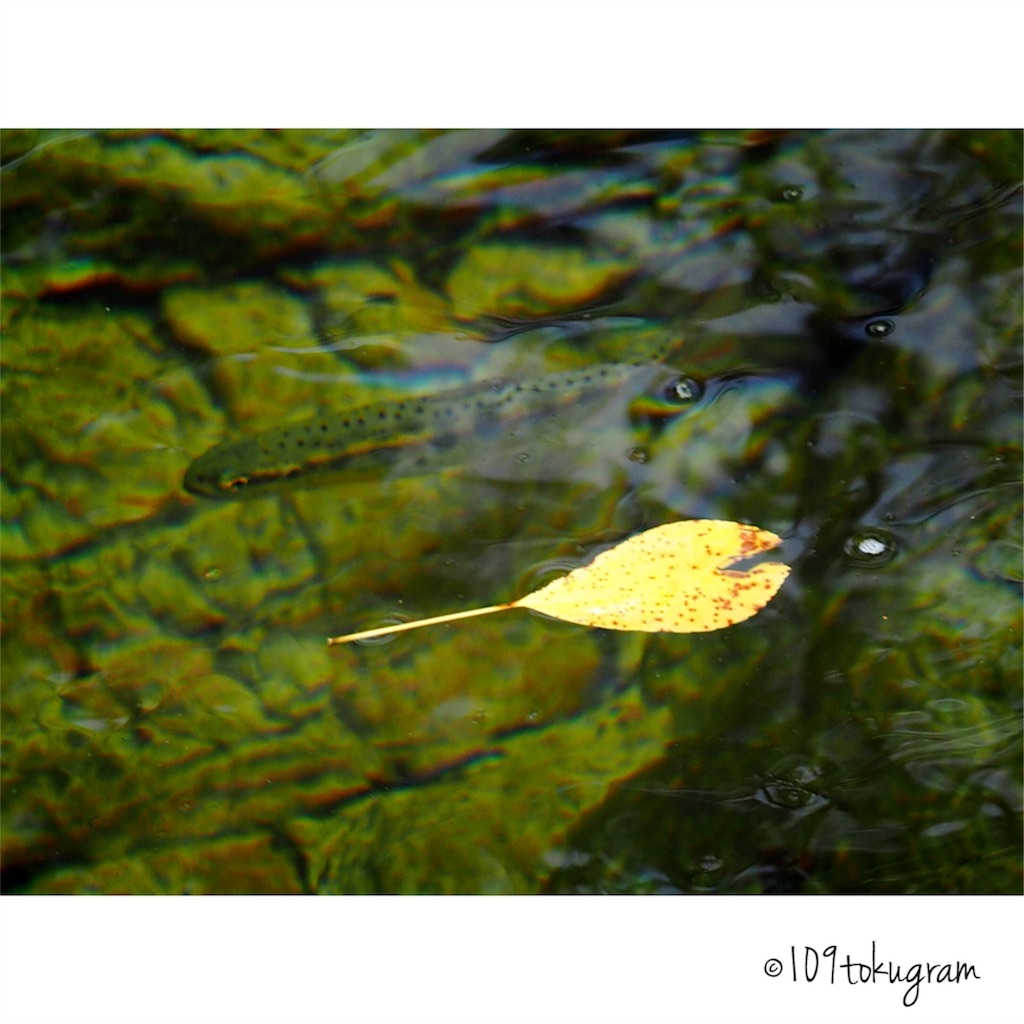 f:id:Toku109:20180526193449j:image f:id:Toku109:20180526193449j:image