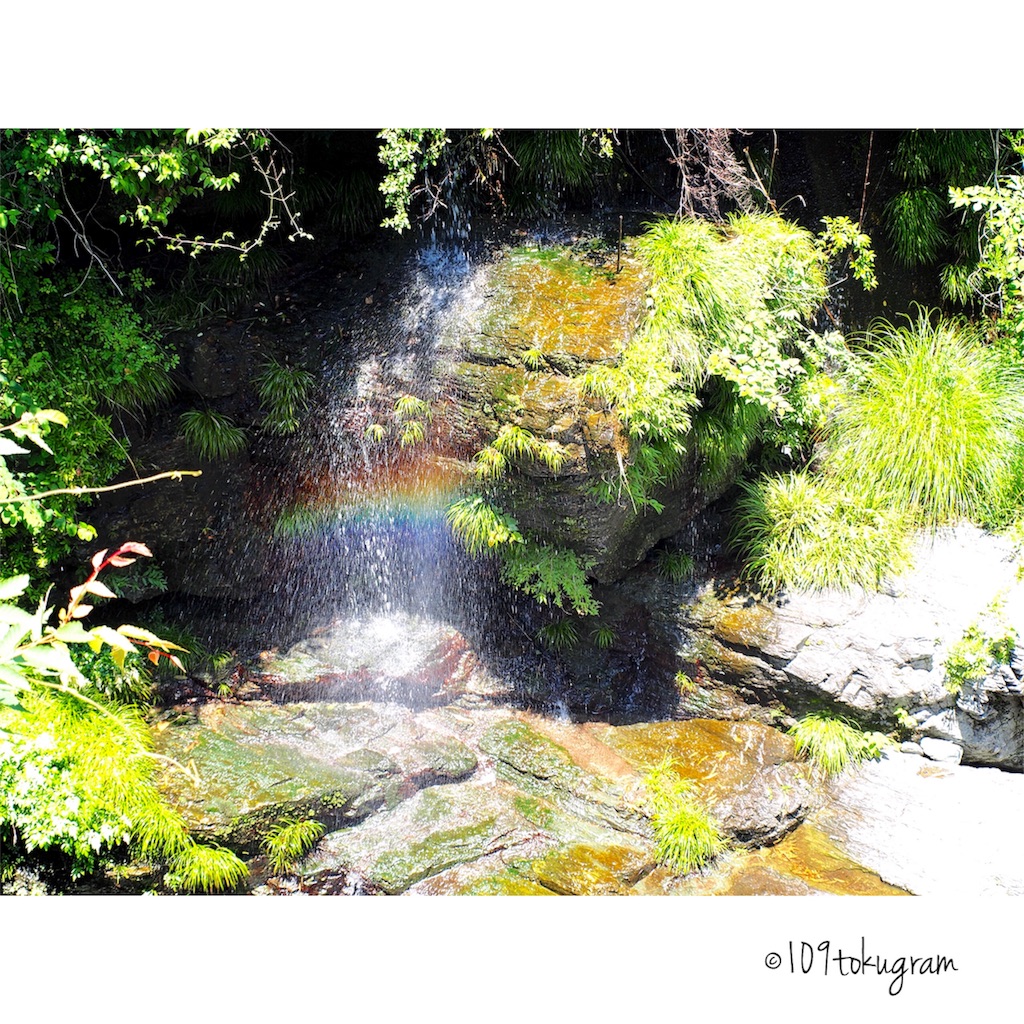 f:id:Toku109:20180702181725j:image f:id:Toku109:20180702181725j:image