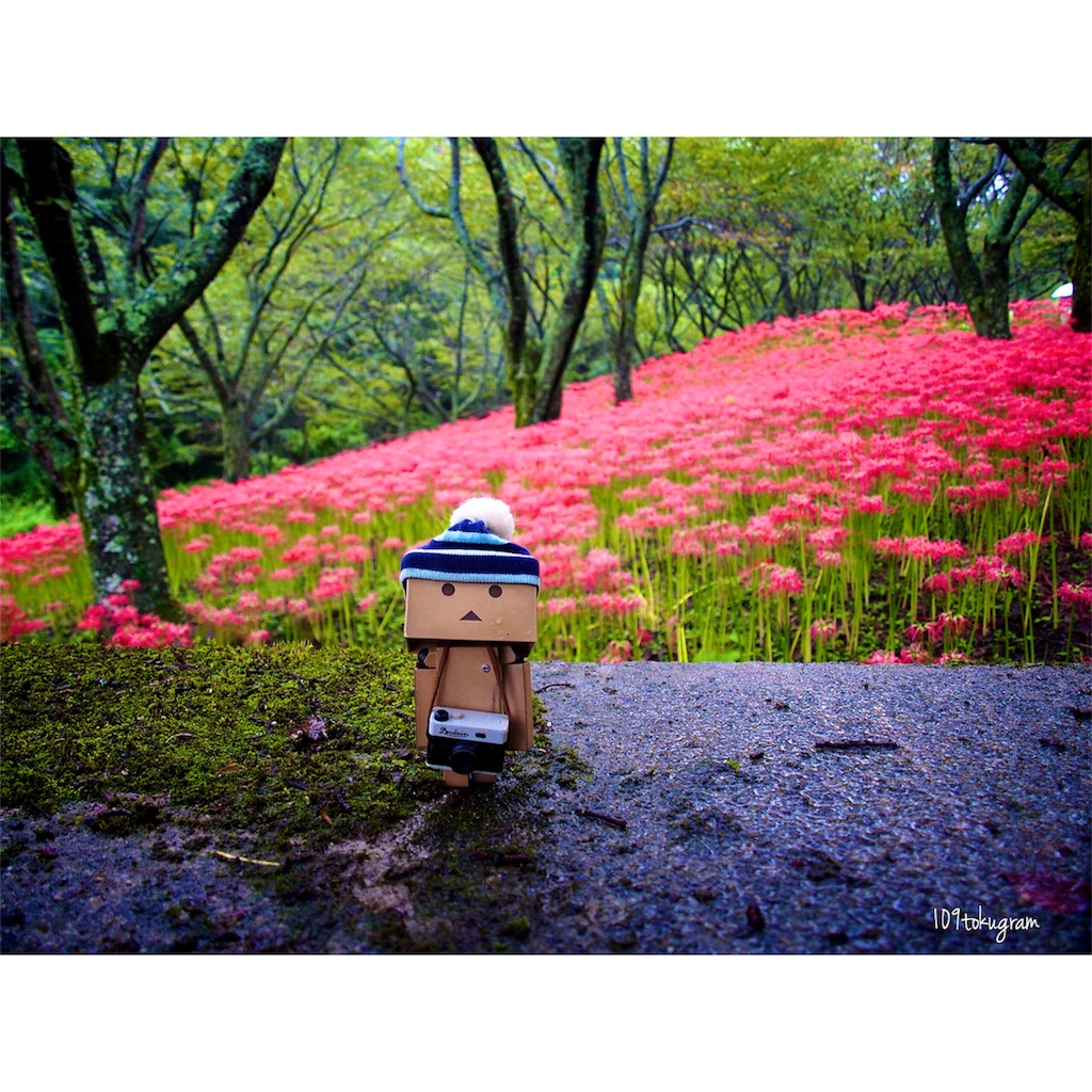 f:id:Toku109:20180929195100j:image