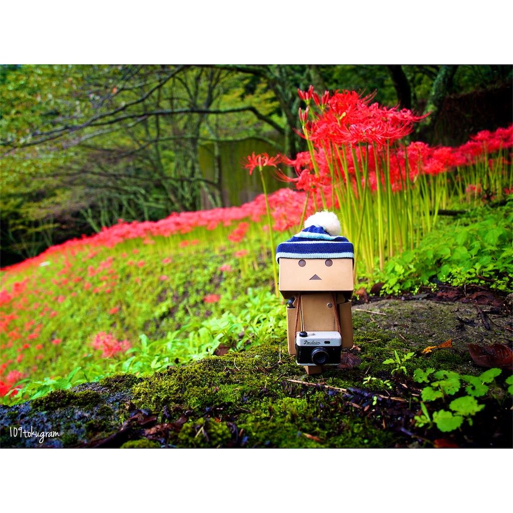 f:id:Toku109:20180929195113j:image