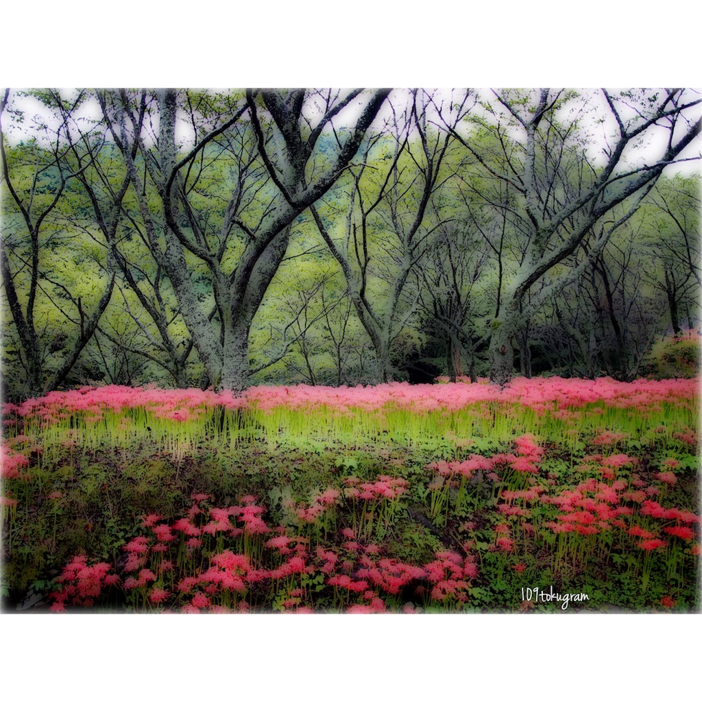 f:id:Toku109:20180929195129j:image