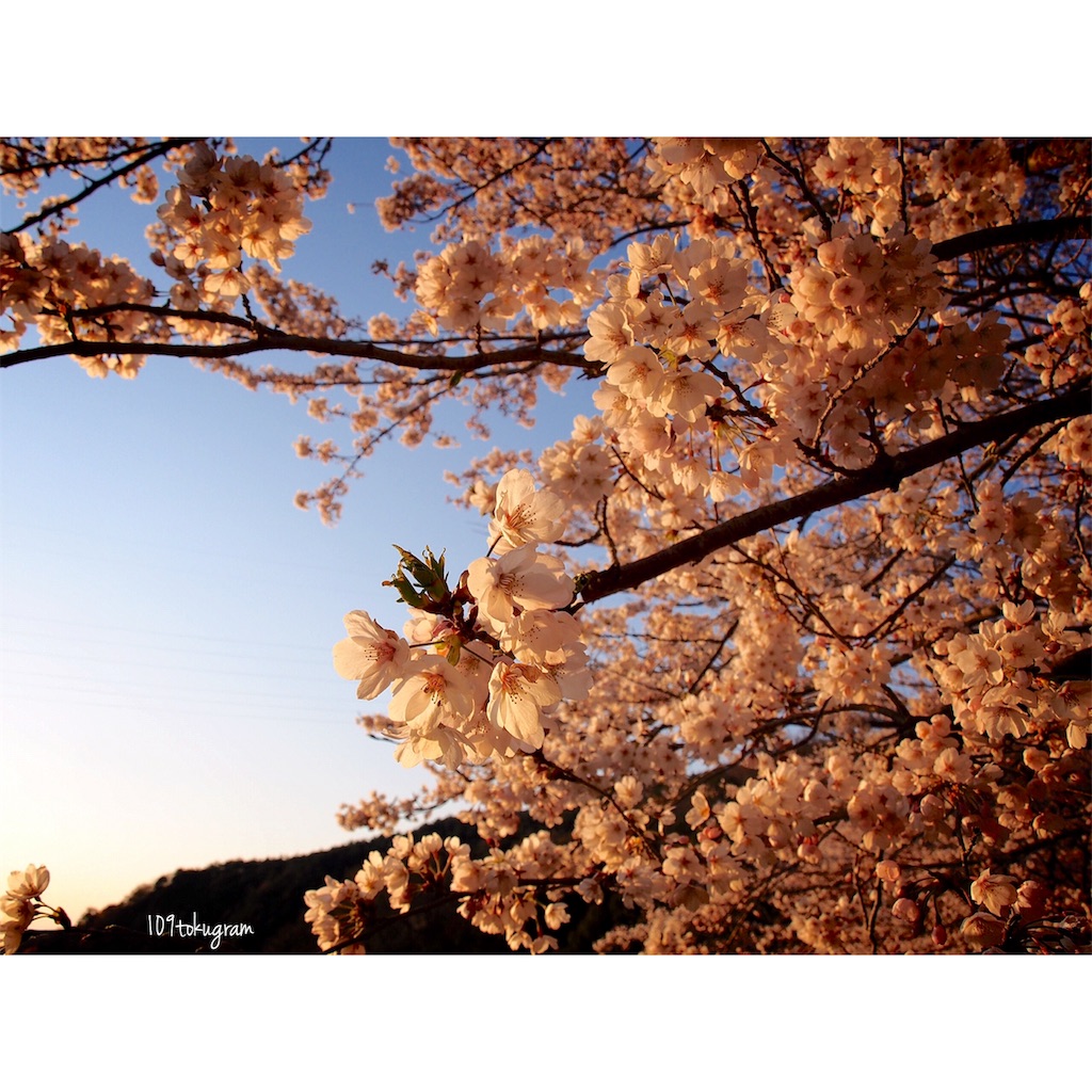 f:id:Toku109:20190516103509j:image