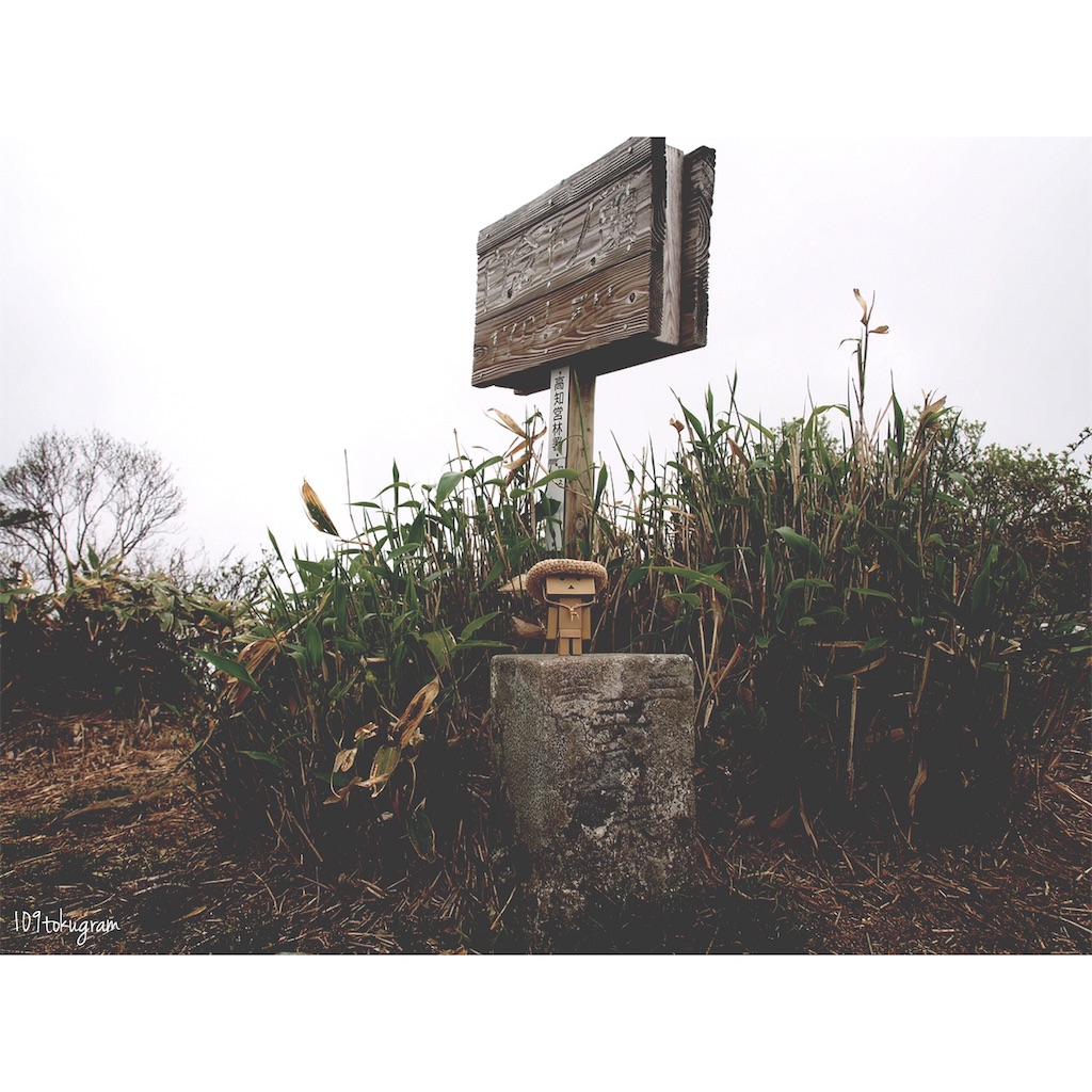 f:id:Toku109:20190608083256j:image