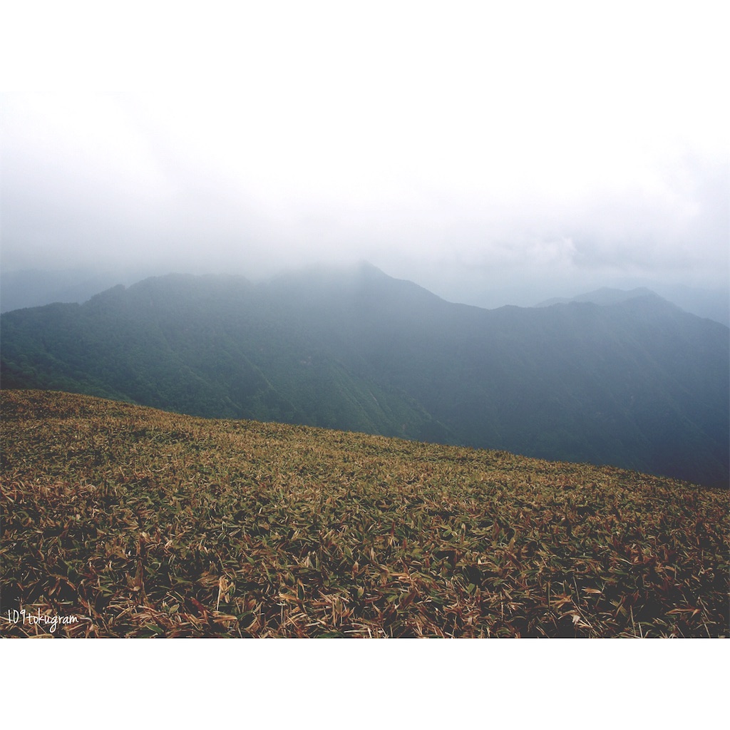 f:id:Toku109:20190608083323j:image