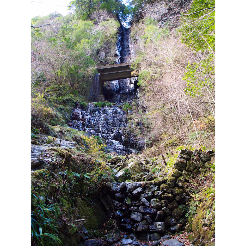 f:id:Toku109:20201223192608p:image