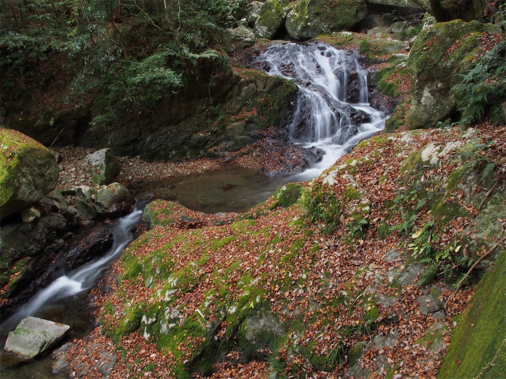 f:id:Toku109:20201224205252j:image f:id:Toku109:20201224205252j:image