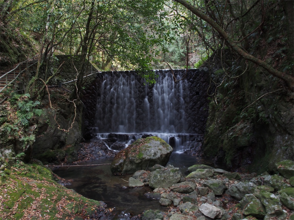 f:id:Toku109:20201224205259j:image f:id:Toku109:20201224205259j:image