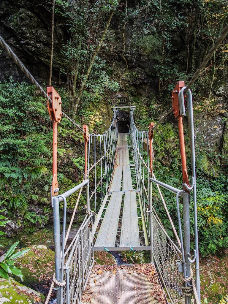 f:id:Toku109:20210115205906j:image f:id:Toku109:20210115205906j:image