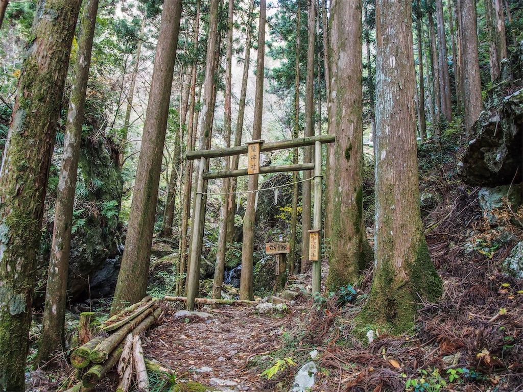 f:id:Toku109:20210115205910j:image f:id:Toku109:20210115205910j:image