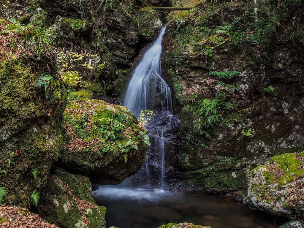 f:id:Toku109:20210115205931j:image f:id:Toku109:20210115205931j:image