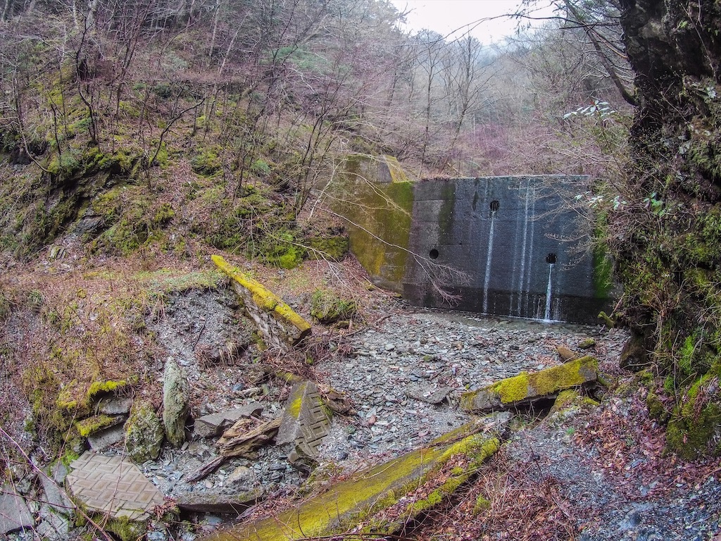 f:id:Toku109:20210407213102j:image f:id:Toku109:20210407213102j:image