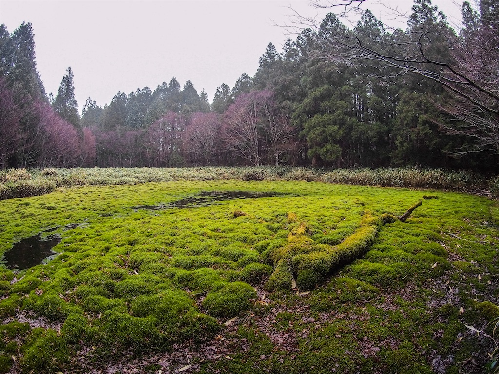 f:id:Toku109:20210407213107j:image f:id:Toku109:20210407213107j:image