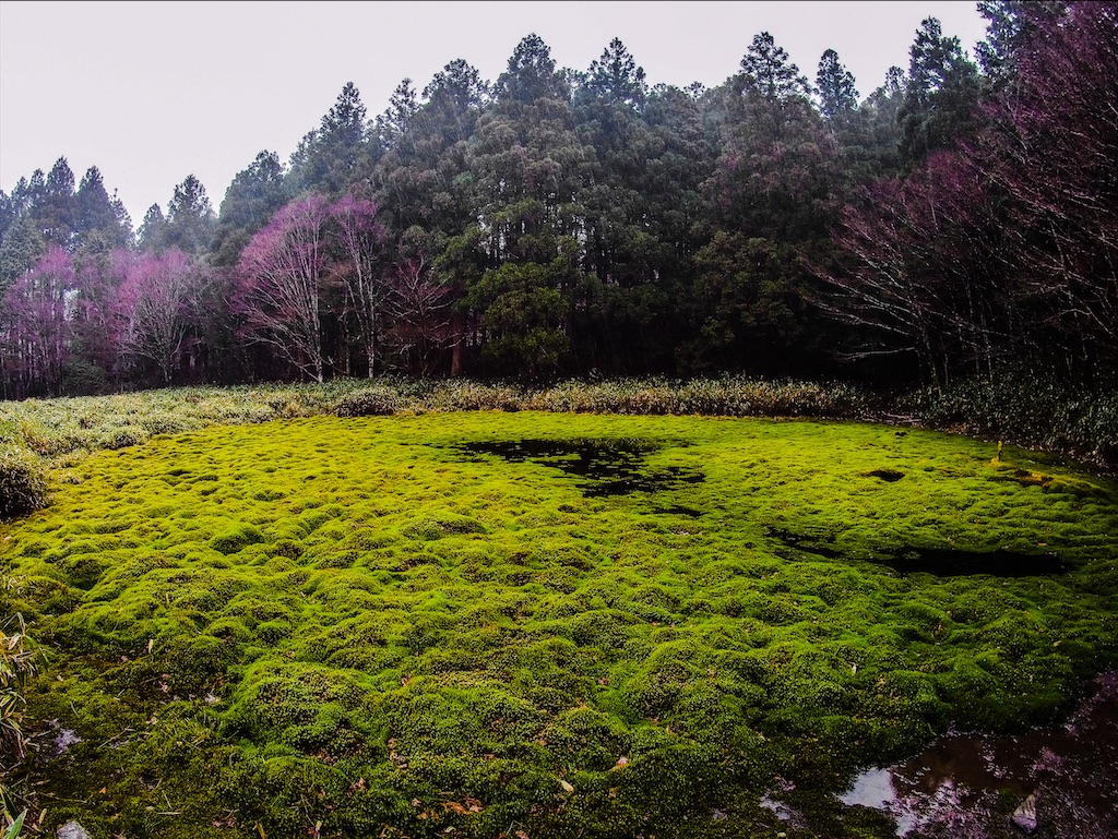 f:id:Toku109:20210407213116j:image f:id:Toku109:20210407213116j:image