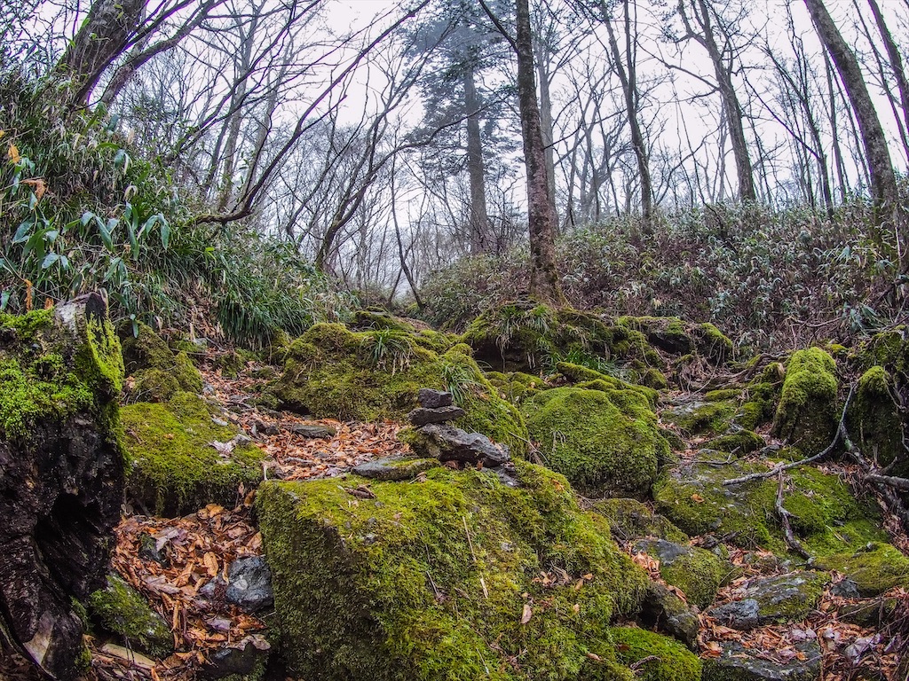 f:id:Toku109:20210407213125j:image f:id:Toku109:20210407213125j:image