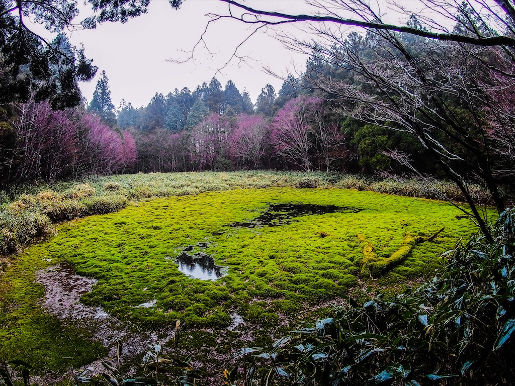 f:id:Toku109:20210407213130j:image f:id:Toku109:20210407213130j:image