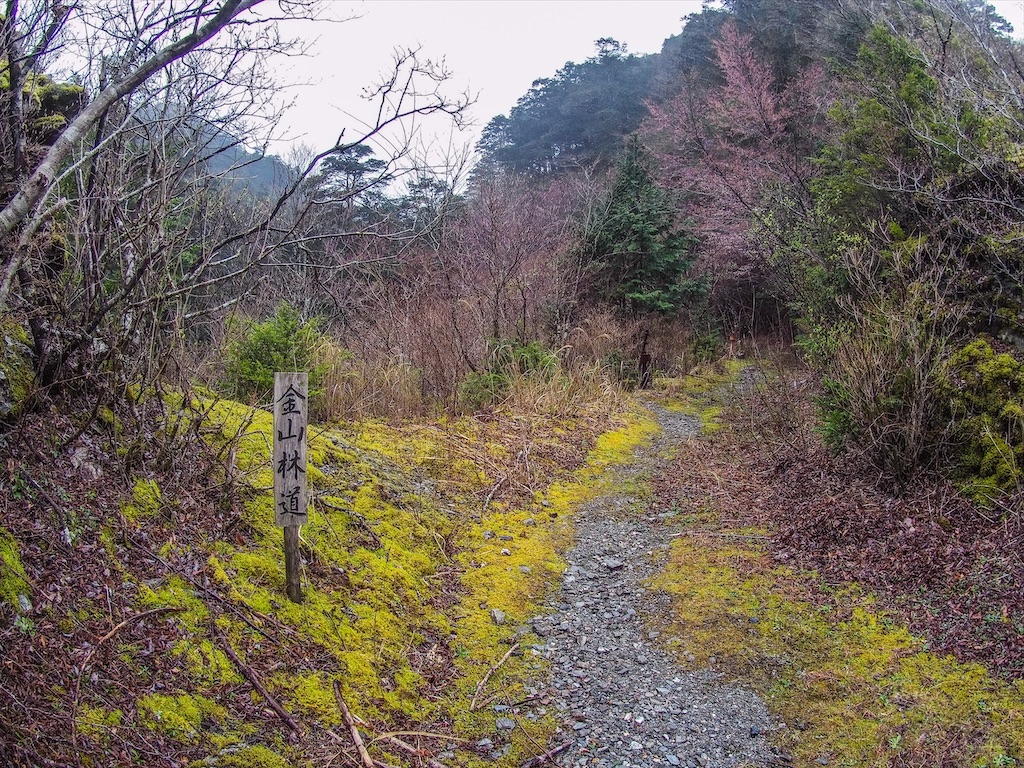 f:id:Toku109:20210407213135j:image f:id:Toku109:20210407213135j:image