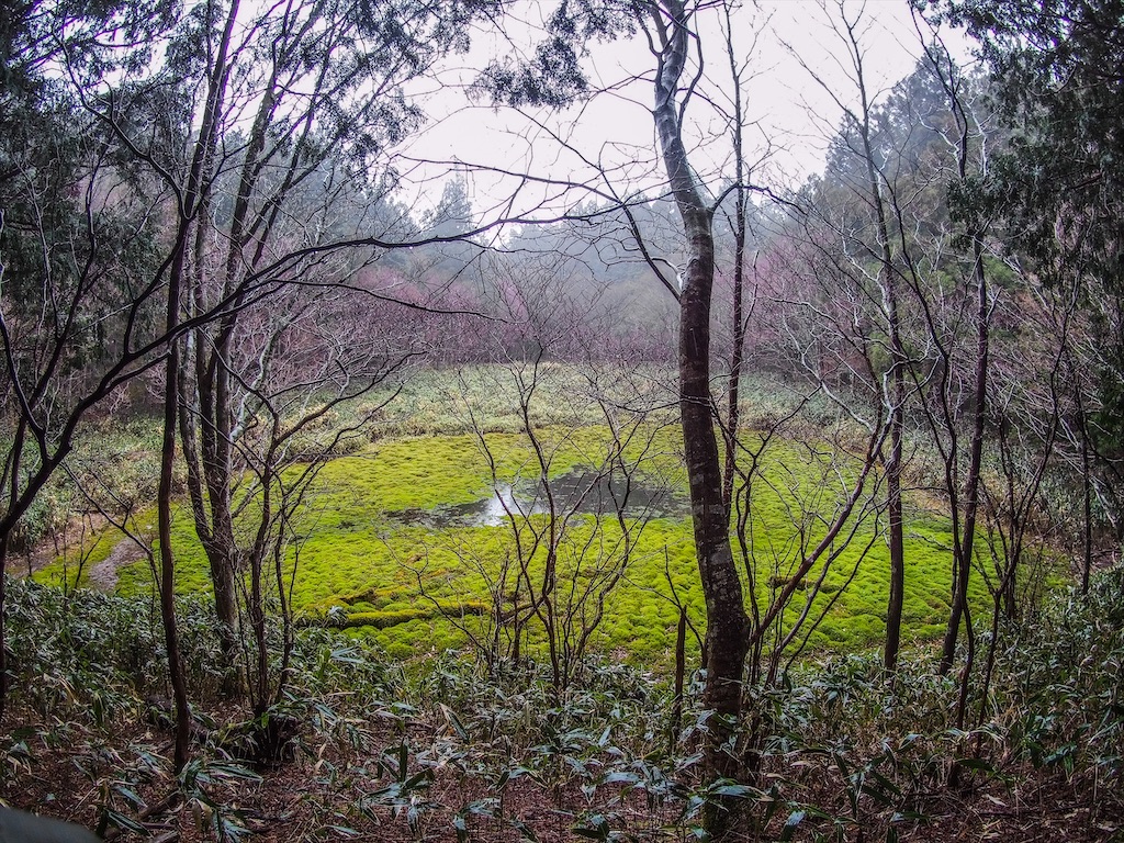 f:id:Toku109:20210407213138j:image f:id:Toku109:20210407213138j:image