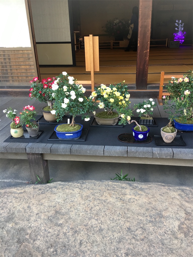 f:id:TokuheiKumagai:20190513234813j:image