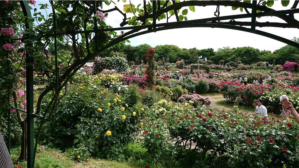 f:id:TokuheiKumagai:20190523095512j:image