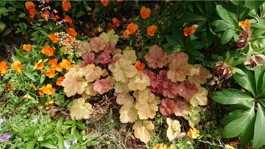 f:id:TokuheiKumagai:20190523095518j:image