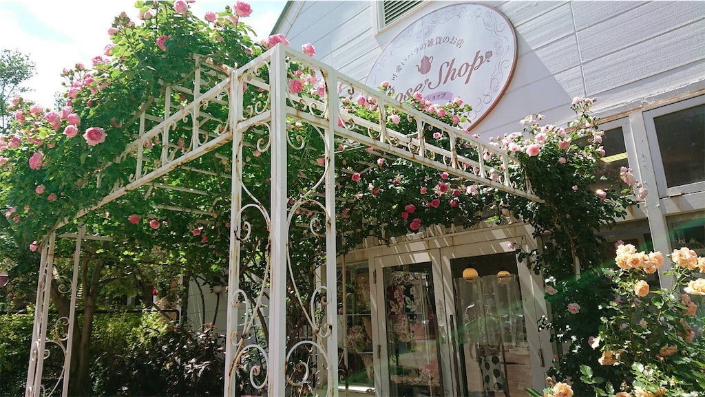 f:id:TokuheiKumagai:20190523095544j:image