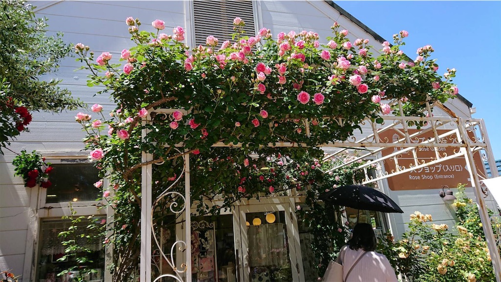 f:id:TokuheiKumagai:20190523095602j:image