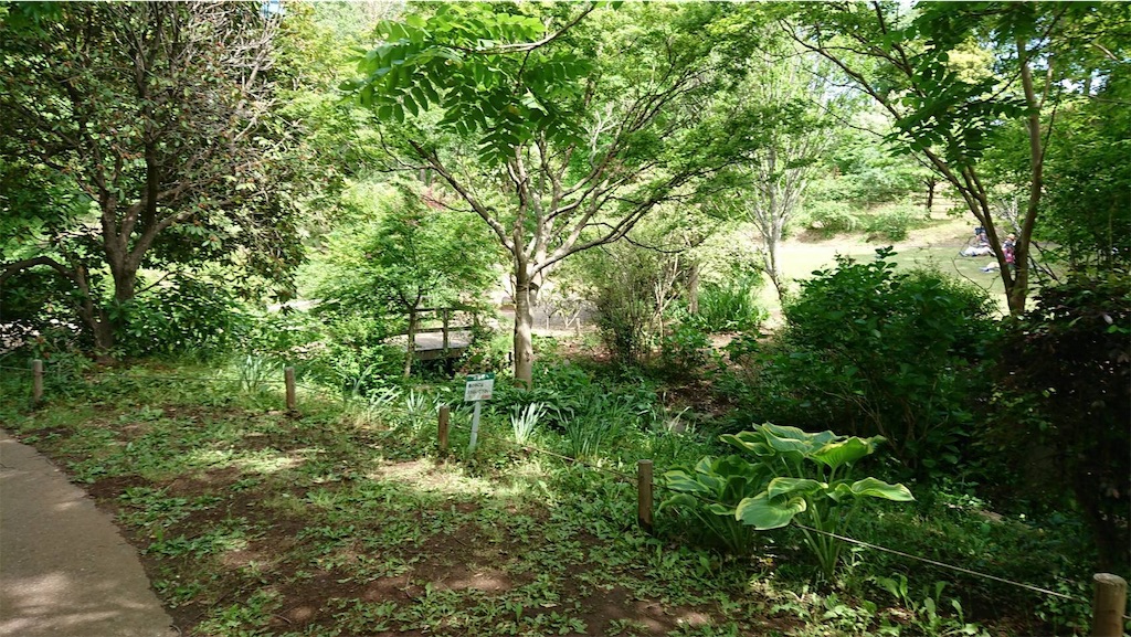 f:id:TokuheiKumagai:20190523095608j:image