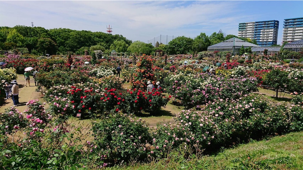 f:id:TokuheiKumagai:20190523095611j:image