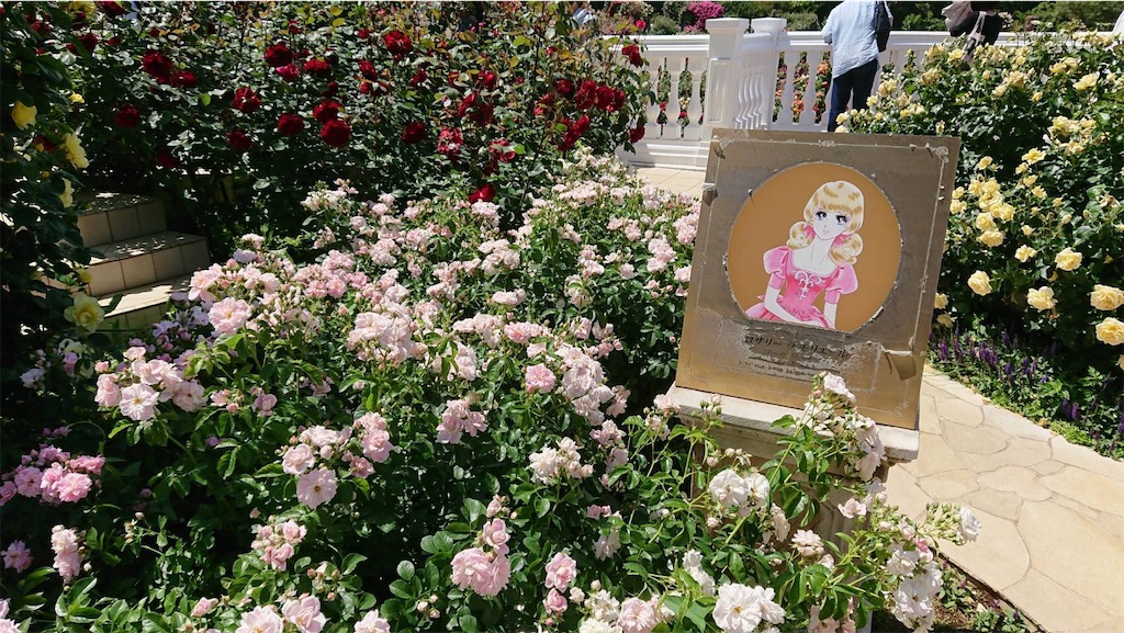 f:id:TokuheiKumagai:20190523095656j:image