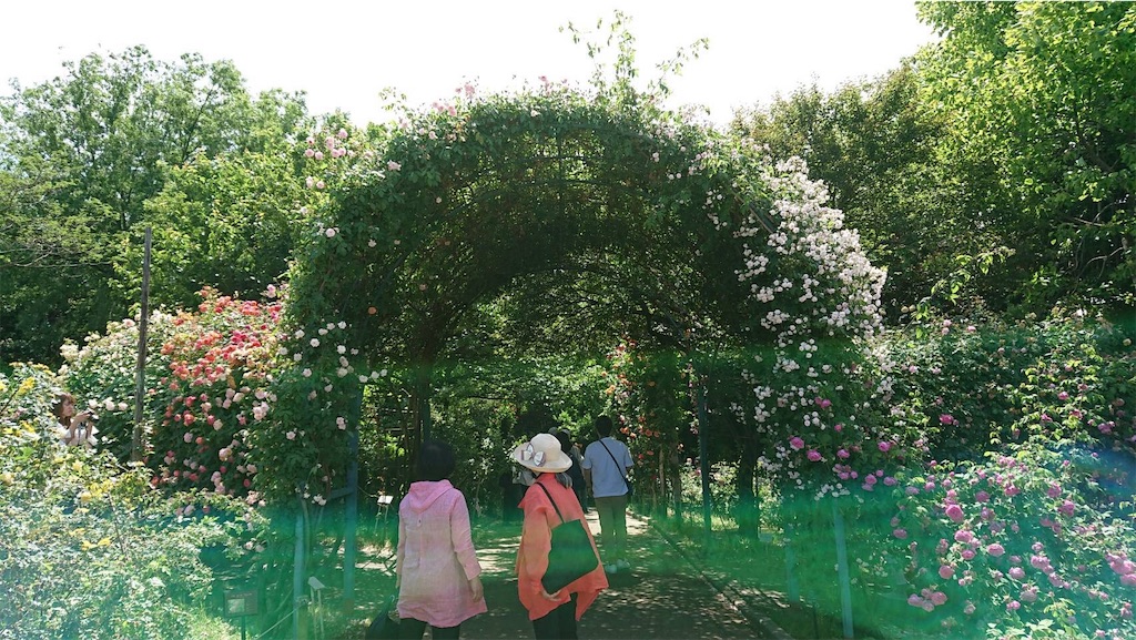 f:id:TokuheiKumagai:20190523095704j:image