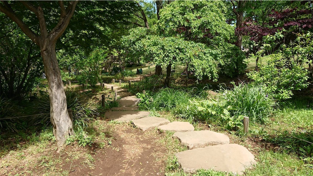 f:id:TokuheiKumagai:20190523095707j:image