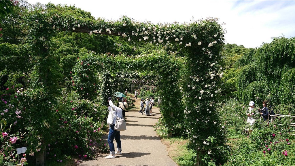 f:id:TokuheiKumagai:20190523095720j:image