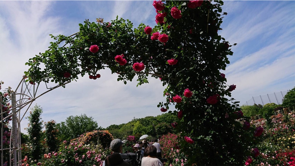 f:id:TokuheiKumagai:20190523095727j:image