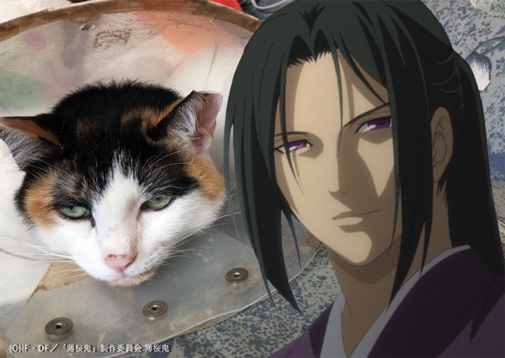 f:id:TokuheiKumagai:20190604223445j:image