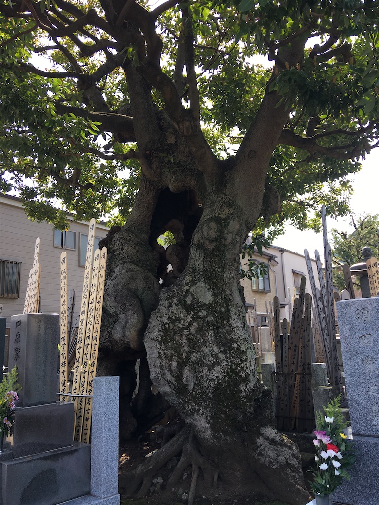 f:id:TokuheiKumagai:20200321193303j:image