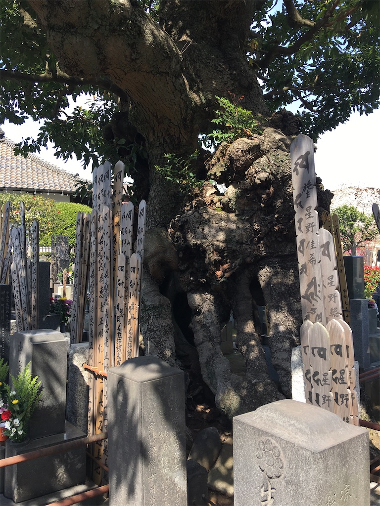 f:id:TokuheiKumagai:20200321193306j:image