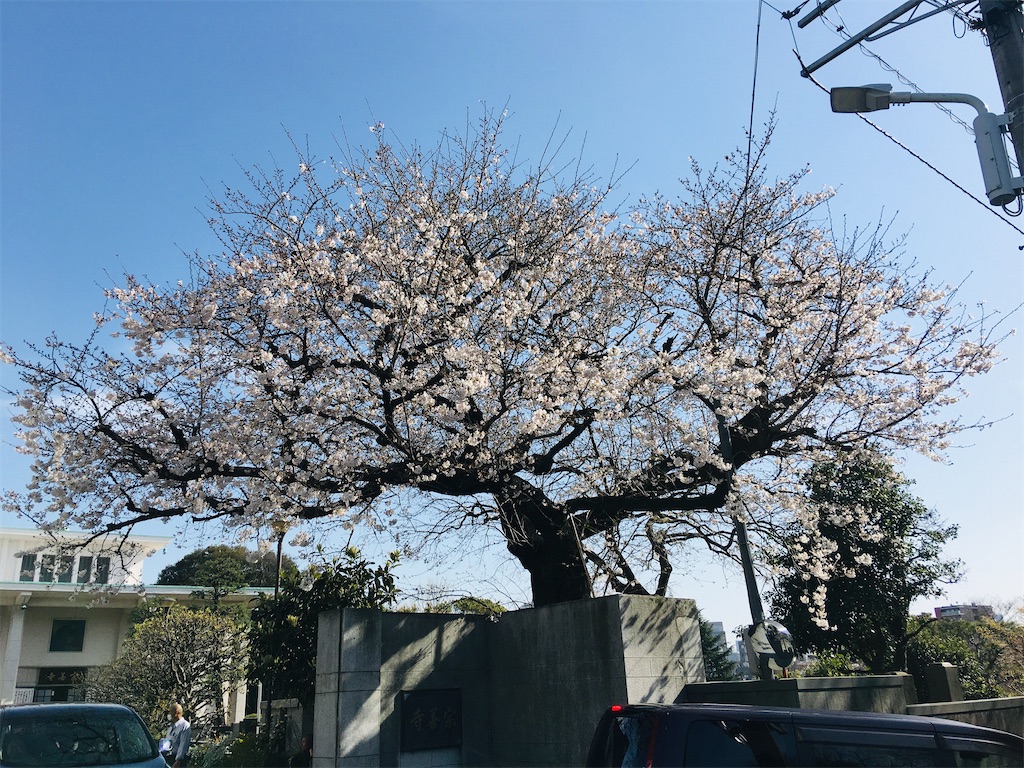 f:id:TokuheiKumagai:20200321193313j:image