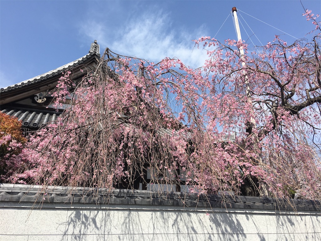 f:id:TokuheiKumagai:20200321193319j:image