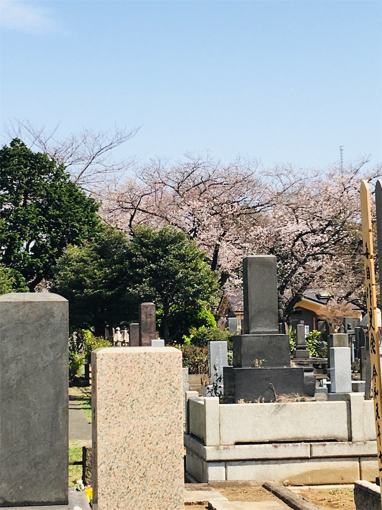f:id:TokuheiKumagai:20200321193329j:image