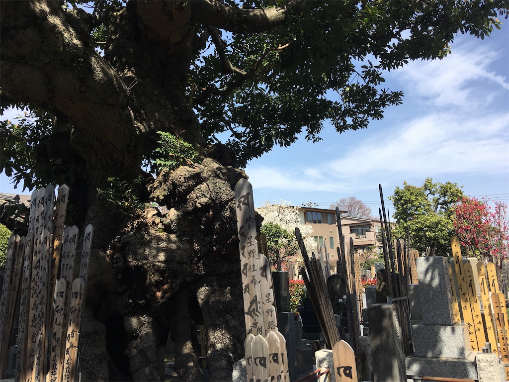 f:id:TokuheiKumagai:20200321193343j:image
