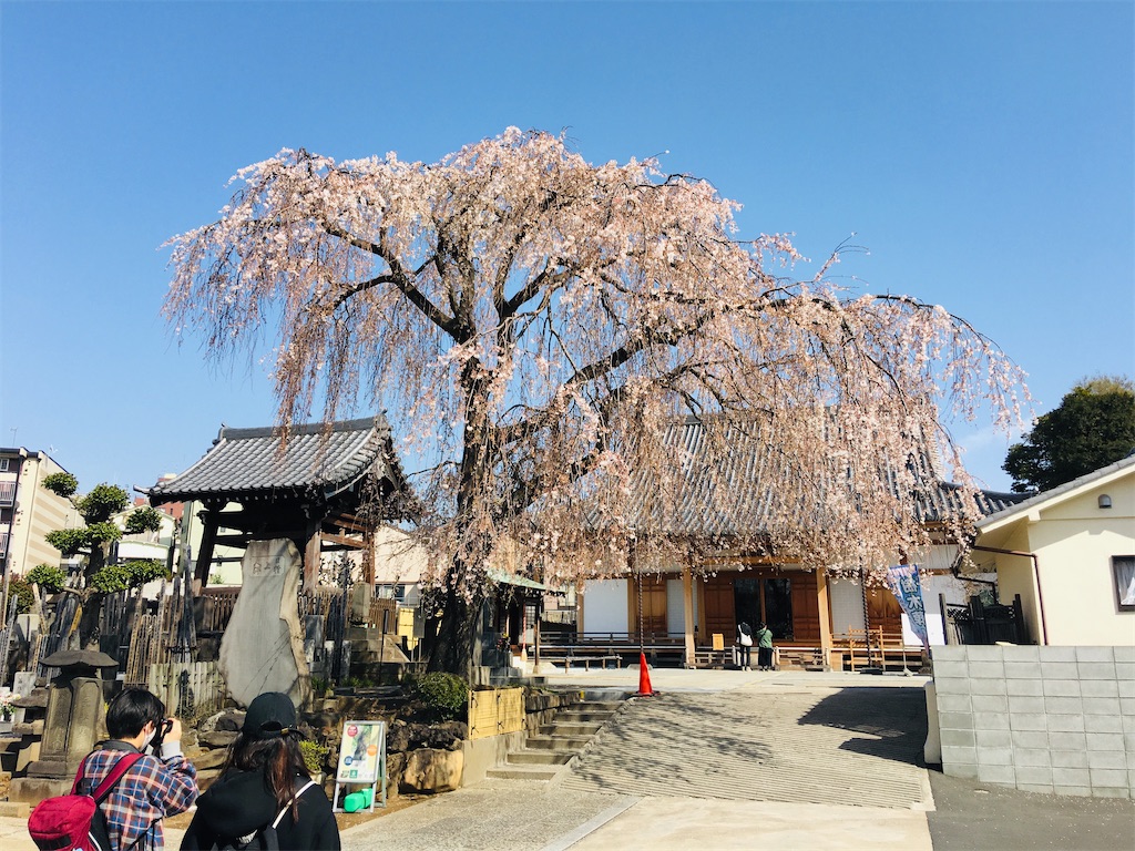 f:id:TokuheiKumagai:20200321193358j:image