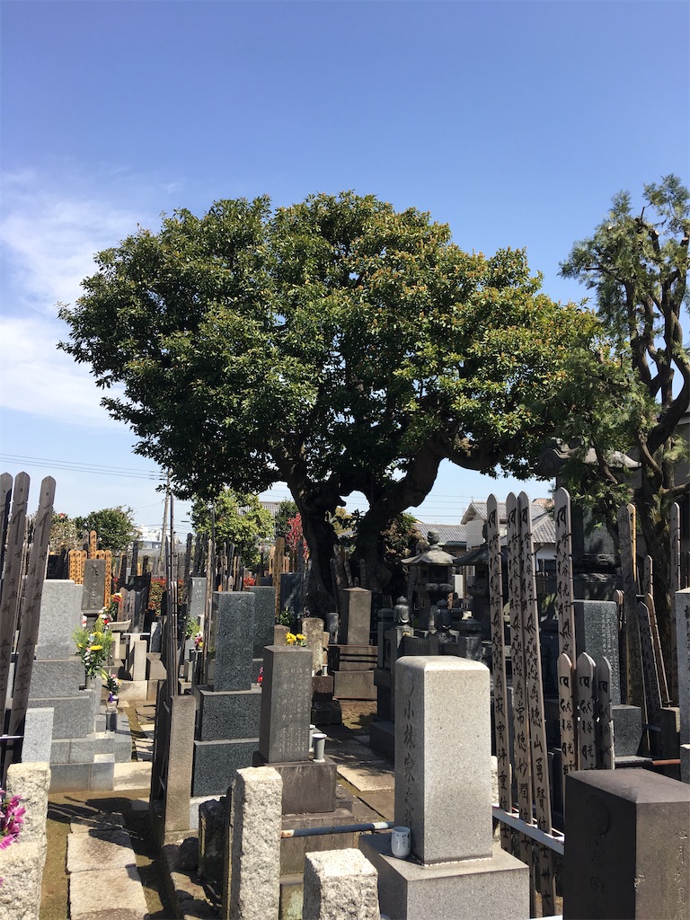 f:id:TokuheiKumagai:20200321193419j:image