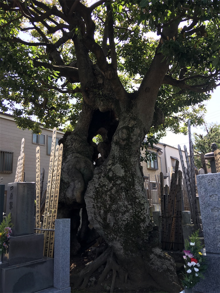 f:id:TokuheiKumagai:20200321193426j:image