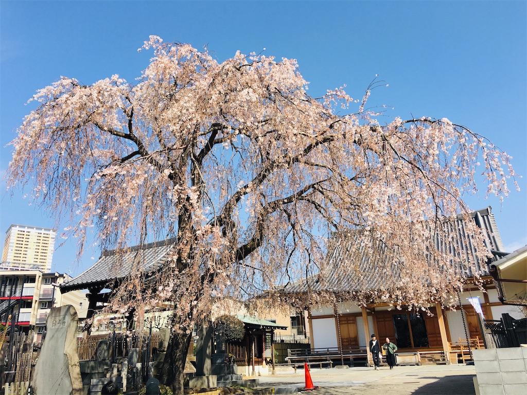 f:id:TokuheiKumagai:20200321193444j:image