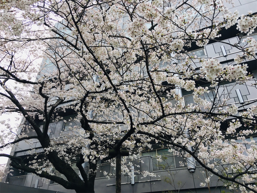 f:id:TokuheiKumagai:20200323202455j:image